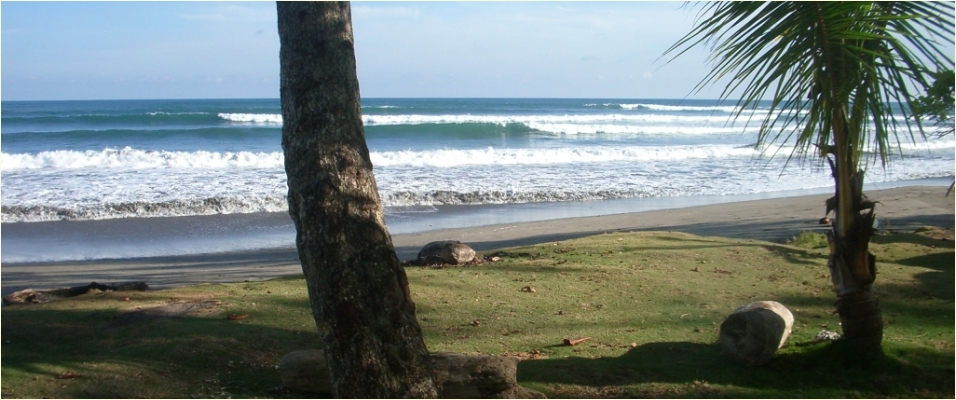 Nearby Reef Break